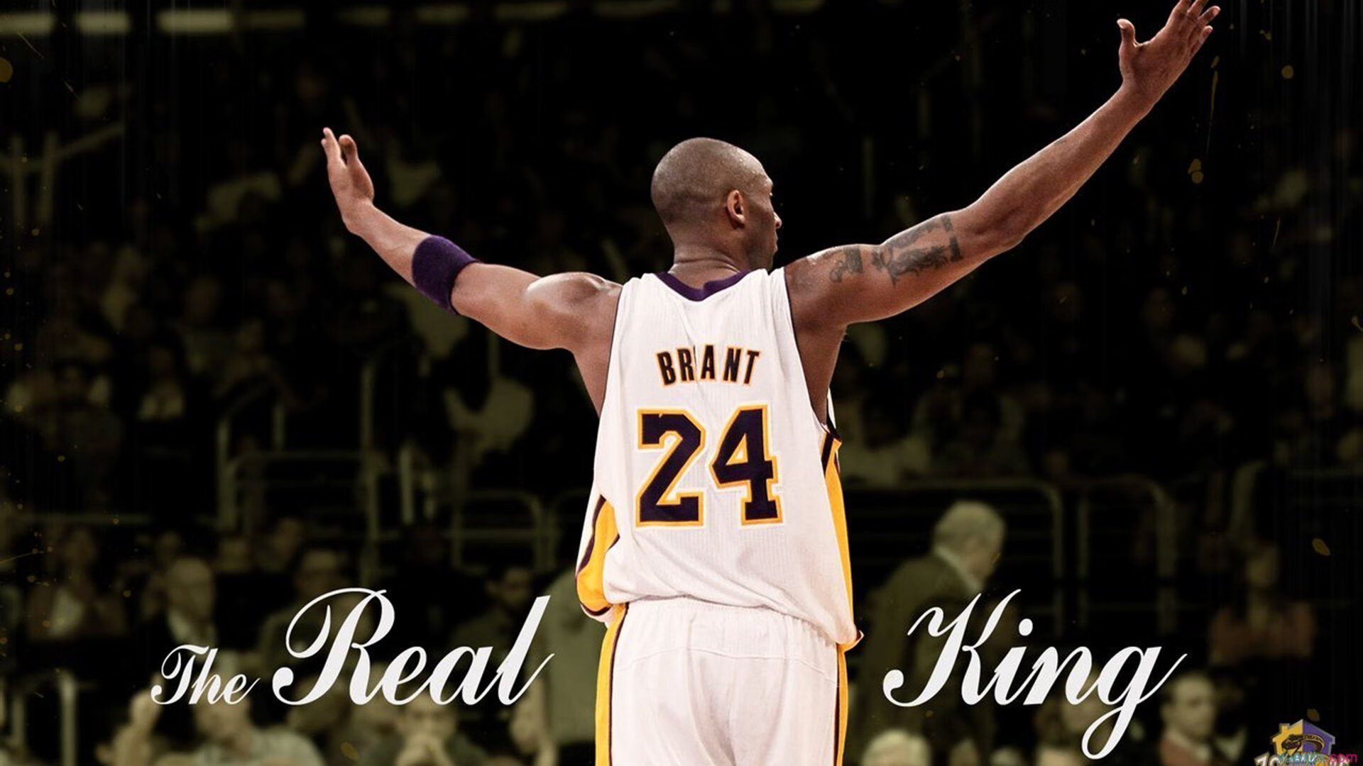 开云首页登录-荣光时刻：伟大教练与球员的辉煌岁月