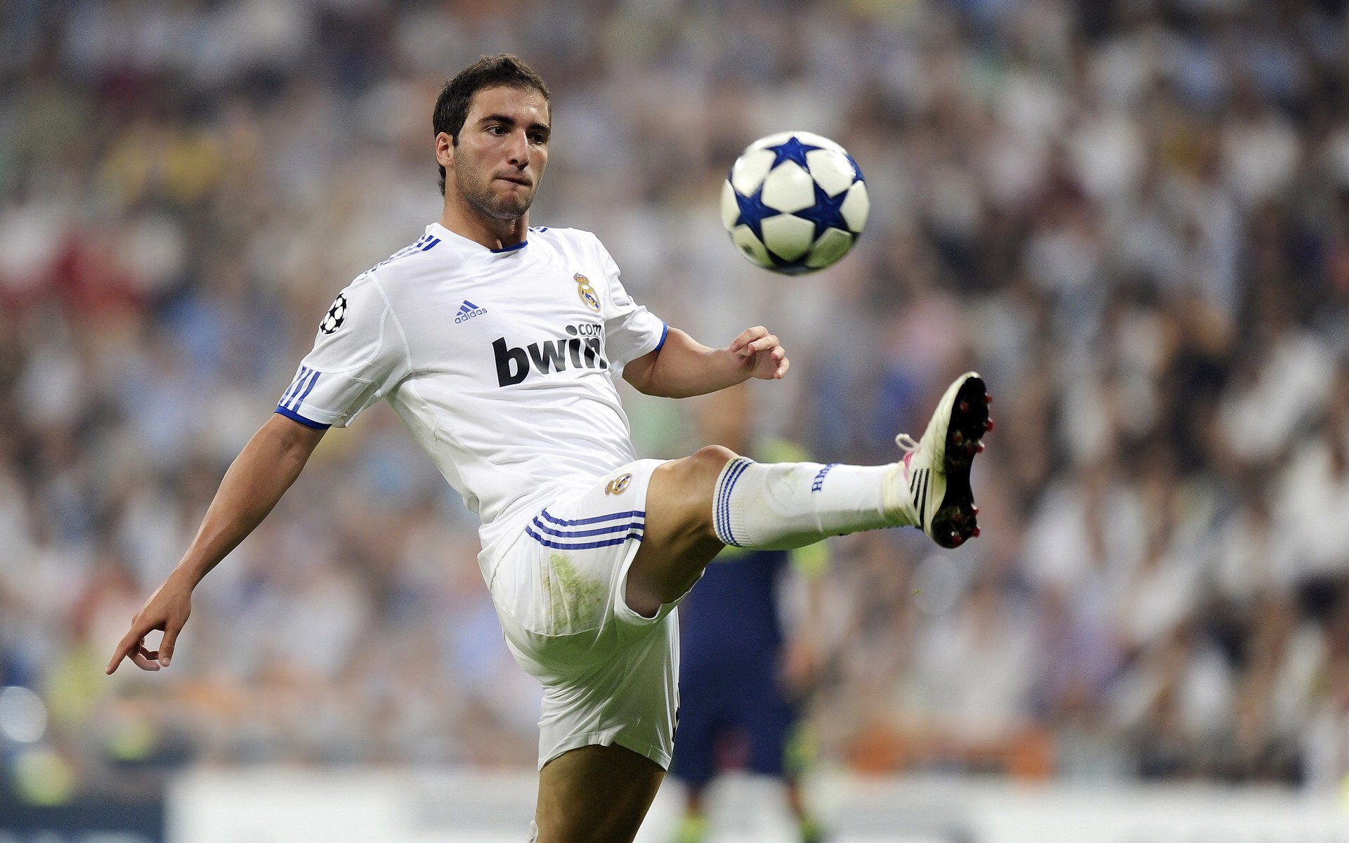 国际比赛中加入全景直播技术,带来沉浸式观赛体验,全景视频直播